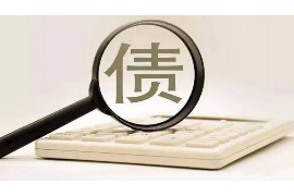 旺苍为什么选择专业追讨公司来处理您的债务纠纷？